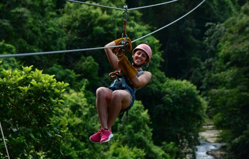 ZipLine